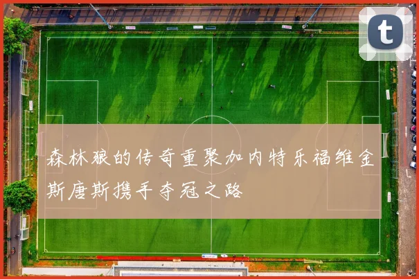 森林狼的传奇重聚加内特乐福维金斯唐斯携手夺冠之路