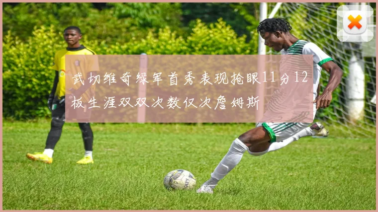 武切维奇绿军首秀表现抢眼11分12板生涯双双次数仅次詹姆斯