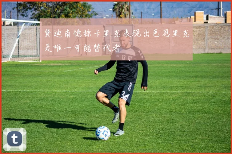 费迪南德称卡里克表现出色恩里克是唯一可能替代者